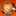 tarako_spaghetti tarako_spaghetti