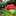 SynchrOne SynchrOne