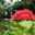 SynchrOne