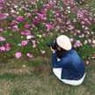 miporin_o