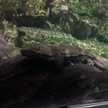 ♡三姉妹ママ♡