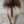 mariko393939