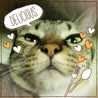☆ｍｉｍｉてんてん☆