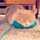 Furushooo
