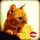 crea_im623 crea_im623