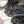 のろにゃんこ１３