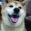 シュン太