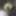 うさぎさんの飼い主 うさぎさんの飼い主