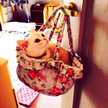 かなこ☆OORer