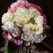 RoseMuse♡