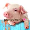 ponpoko♪