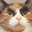nekomochii