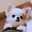 fujihim
