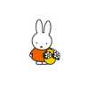 miffy♥