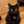 黒猫レシピ