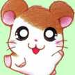 ハムダヌキ