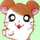 ハムダヌキ ハムダヌキ