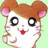 ハムダヌキ