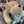 cocco0622