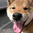 ＡＫＥＫＯ
