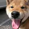 ＡＫＥＫＯ