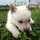 nikawafarm nikawafarm