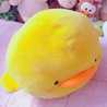 ▽どんぐり