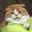 ちいねこサラダ