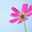 ❁…clare…❁