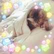 きなこ＊716