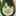 春巻きナース