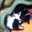 ききちゃんまん