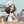 ♪☆ゆきしゃん☆♪