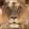LeoNon