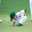 Shi〜no