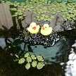 みかやんママ