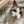 ＊ねこねこ＊
