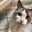 ＊ねこねこ＊