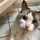 ＊ねこねこ＊