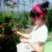 miho✲ﾟ