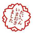緋屋紗兎