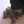 Frooog