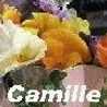 Camille