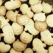 puri_purin