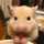 mogmogハムハム mogmogハムハム