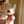 れもんねこねこ
