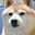 おでこ
