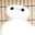 ワケコ之助