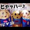 おだまつ おだまつ