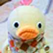 natu12240101